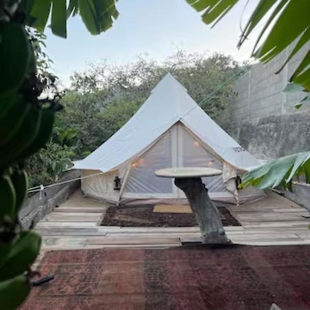 מלון Güimar Yurt In Avocado Garden מראה חיצוני תמונה