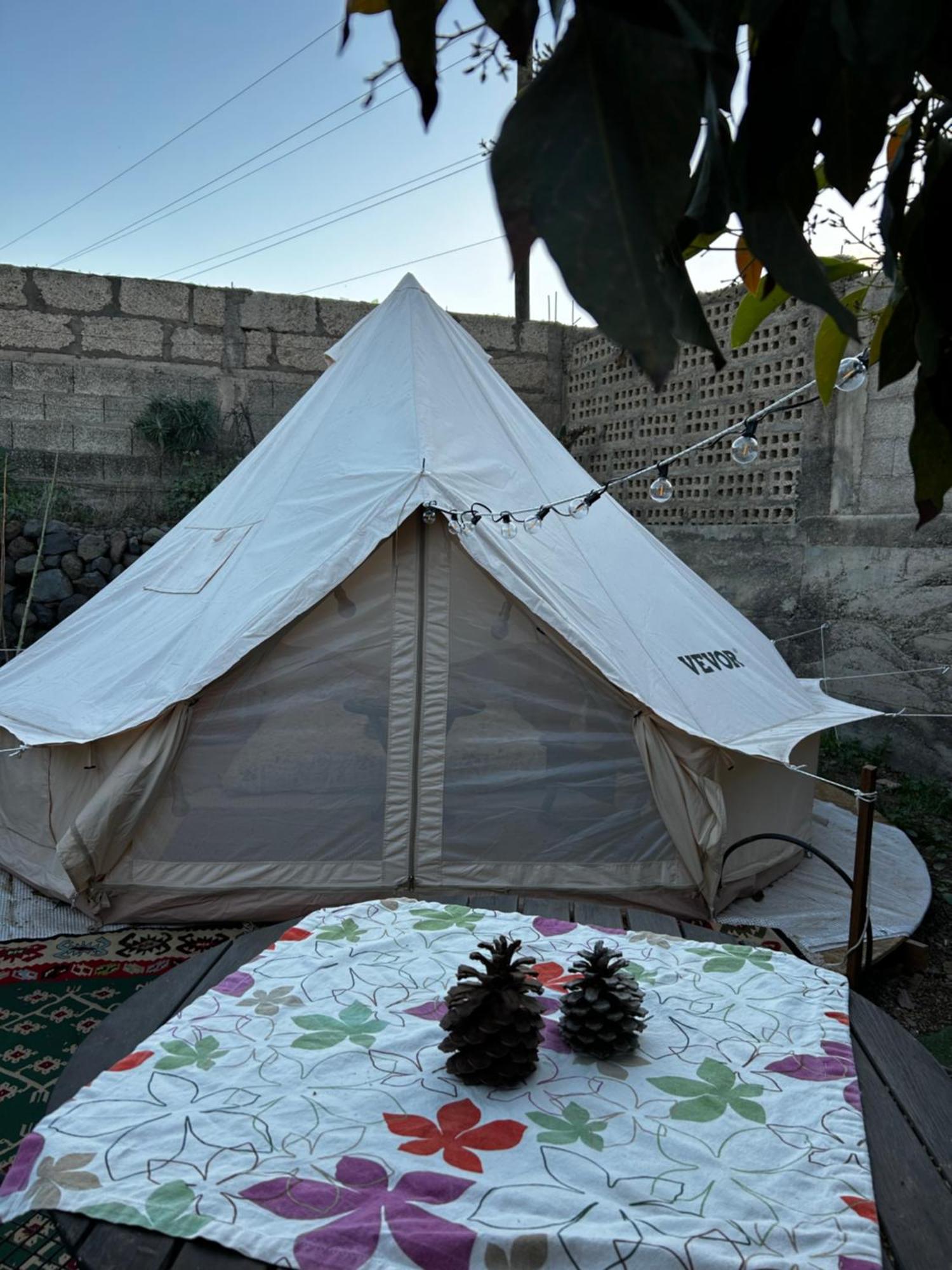 מלון Güimar Yurt In Avocado Garden מראה חיצוני תמונה
